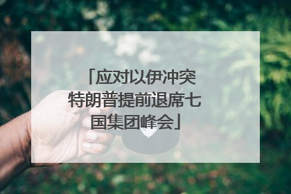 应对以伊冲突 特朗普提前退席七国集团峰会