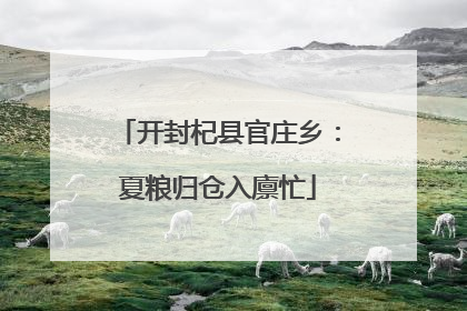 开封杞县官庄乡：夏粮归仓入廪忙