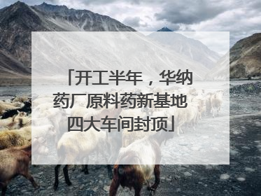 开工半年，华纳药厂原料药新基地四大车间封顶