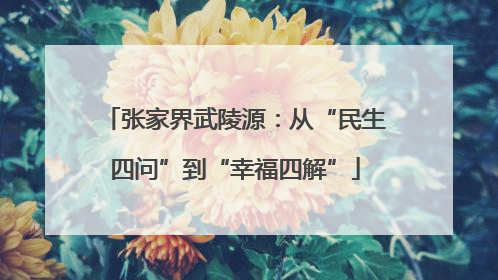 张家界武陵源：从“民生四问”到“幸福四解”