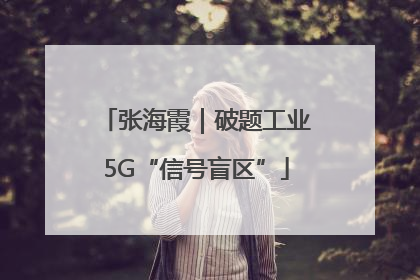 张海霞｜破题工业5G“信号盲区”