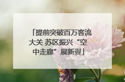 提前突破百万客流大关 苏区振兴“空中走廊”展新翼