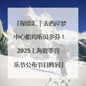 探徐汇｜去西岸梦中心船坞听贝多芬！2025上海夏季音乐节公布节目阵容