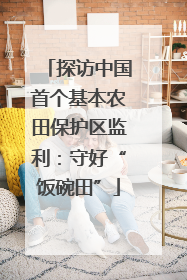 探访中国首个基本农田保护区监利：守好“饭碗田”