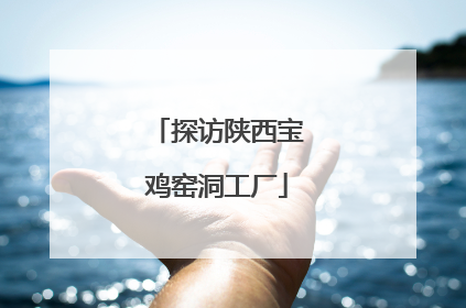探访陕西宝鸡窑洞工厂