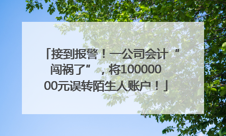 接到报警！一公司会计“闯祸了”，将10000000元误转陌生人账户！
