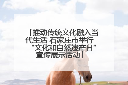 推动传统文化融入当代生活 石家庄市举行“文化和自然遗产日”宣传展示活动