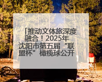 推动文体旅深度融合！2025年沈阳市第五届“联盟杯”橄榄球公开赛燃情开赛