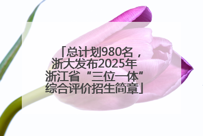 总计划980名，浙大发布2025年浙江省“三位一体”综合评价招生简章