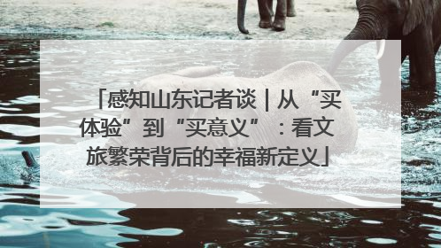 感知山东记者谈｜从“买体验”到“买意义”：看文旅繁荣背后的幸福新定义
