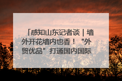 感知山东记者谈｜墙外开花墙内也香！“外贸优品”打通国内国际市场“旋转门”