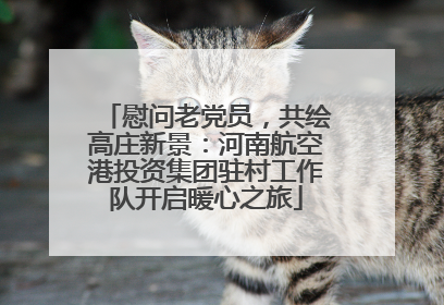 慰问老党员，共绘高庄新景：河南航空港投资集团驻村工作队开启暖心之旅