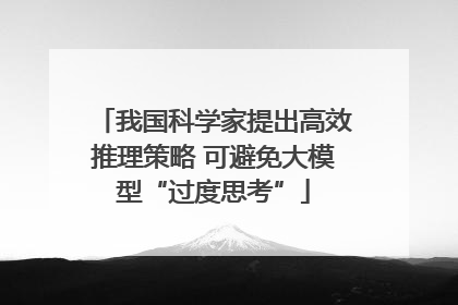 我国科学家提出高效推理策略 可避免大模型“过度思考”