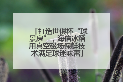 打造世俱杯“球景房”，海信冰箱用真空磁场保鲜技术满足球迷味蕾