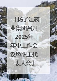 扬子江药业集团召开2025年年中工作会议暨职工代表大会