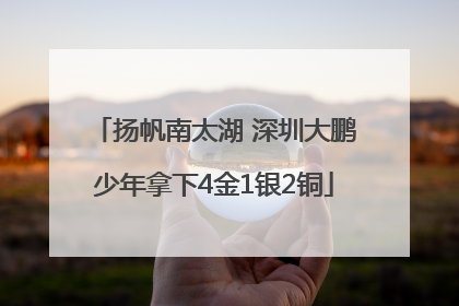 扬帆南太湖 深圳大鹏少年拿下4金1银2铜
