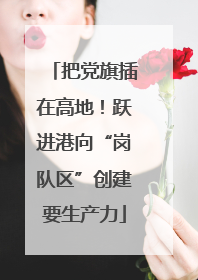 把党旗插在高地！跃进港向“岗队区”创建要生产力