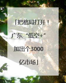 把格局打开！广东“低空+”加出个3000亿市场