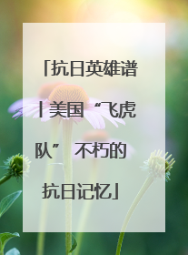 抗日英雄谱丨美国“飞虎队” 不朽的抗日记忆