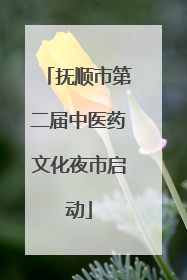 抚顺市第二届中医药文化夜市启动