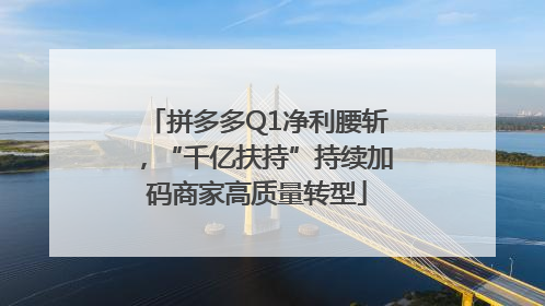 拼多多Q1净利腰斩，“千亿扶持”持续加码商家高质量转型