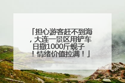 担心游客赶不到海,大连一景区用铲车日撒1000斤蚬子!情绪价值拉满!