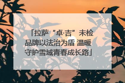拉萨“卓·吉”未检品牌以法治为盾 温暖守护雪域青春成长路