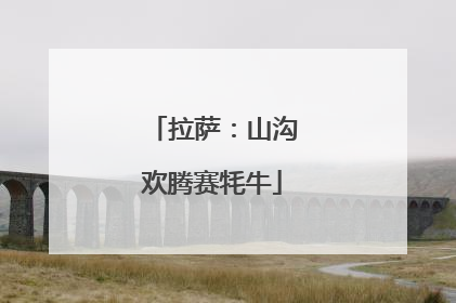 拉萨：山沟欢腾赛牦牛