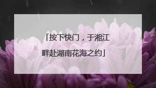 按下快门，于湘江畔赴湖南花海之约