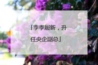 李季履新，升任央企副总