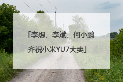 李想、李斌、何小鹏齐祝小米YU7大卖