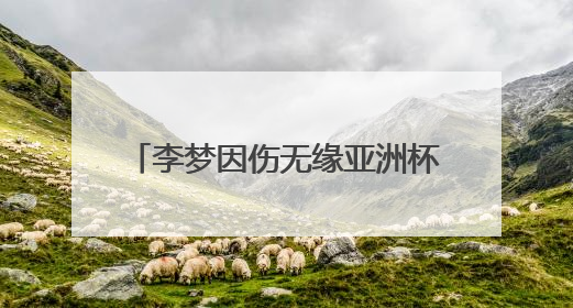 李梦因伤无缘亚洲杯大名单，本人发长文致谢：感谢祖国和国家队，这不是终点