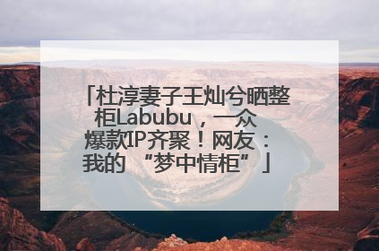 杜淳妻子王灿兮晒整柜Labubu，一众爆款IP齐聚！网友：我的 “梦中情柜”