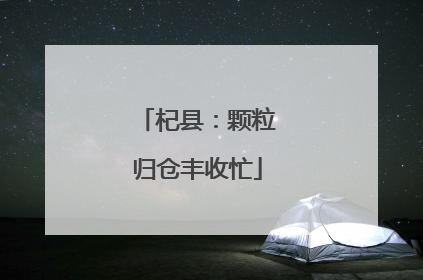 杞县：颗粒归仓丰收忙