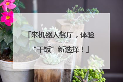 来机器人餐厅，体验“干饭”新选择！