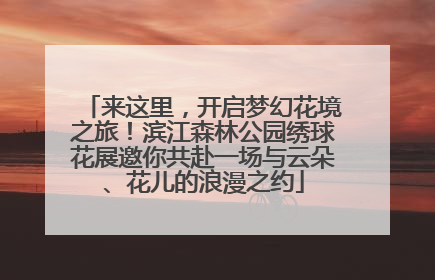 来这里，开启梦幻花境之旅！滨江森林公园绣球花展邀你共赴一场与云朵、花儿的浪漫之约