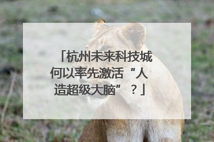杭州未来科技城何以率先激活“人造超级大脑”？