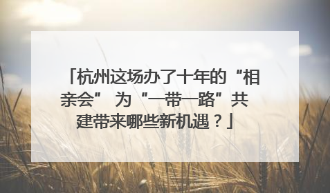 杭州这场办了十年的“相亲会” 为“一带一路”共建带来哪些新机遇？