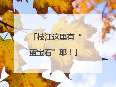 枝江这里有“蓝宝石”耶！