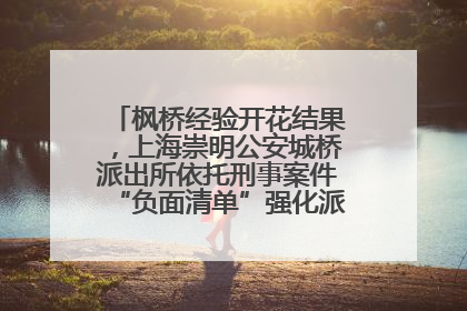 枫桥经验开花结果，上海崇明公安城桥派出所依托刑事案件“负面清单”强化派出所“主防”