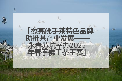 擦亮佛手茶特色品牌 助推茶产业发展——永春苏坑举办2025年春季佛手茶王赛
