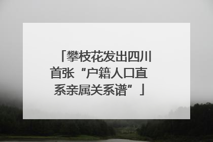 攀枝花发出四川首张“户籍人口直系亲属关系谱”