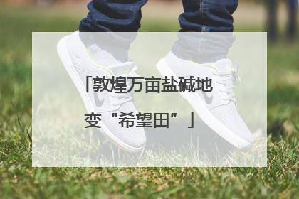 敦煌万亩盐碱地变“希望田”