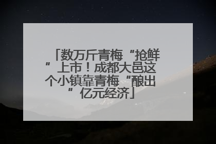 数万斤青梅“抢鲜”上市！成都大邑这个小镇靠青梅“酿出”亿元经济