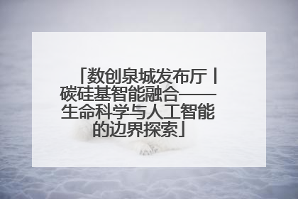 数创泉城发布厅丨碳硅基智能融合——生命科学与人工智能的边界探索