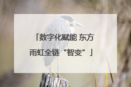 数字化赋能 东方雨虹全链“智变”
