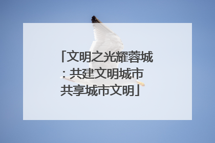 文明之光耀蓉城：共建文明城市 共享城市文明