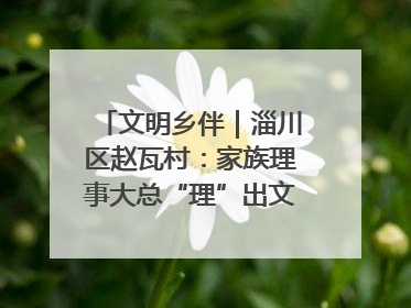 文明乡伴｜淄川区赵瓦村：家族理事大总“理”出文明新风尚