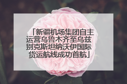 新疆机场集团自主运营乌鲁木齐至乌兹别克斯坦纳沃伊国际货运航线成功首航