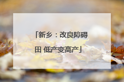 新乡：改良障碍田 低产变高产